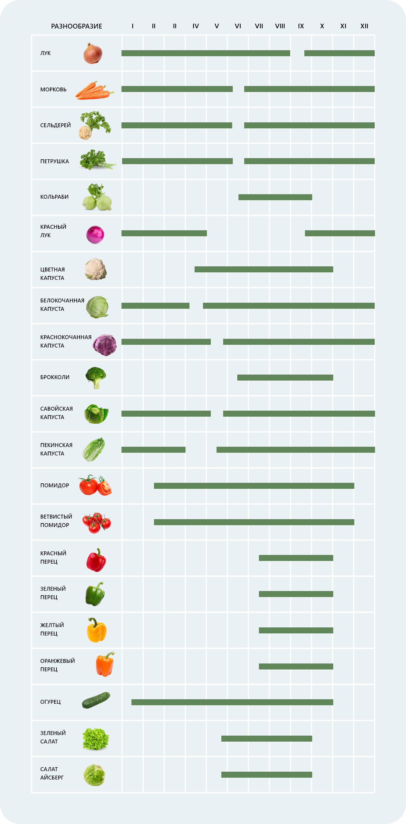 warzywa-krajowe-tabela-sezonowosci-RU